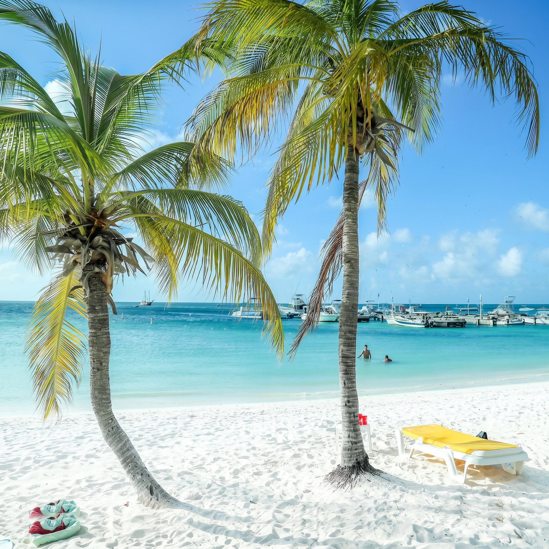 Palmtrees at Palm Beach